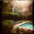 hipstamatic lauren kaplan iphone pool yard sun green bush trees