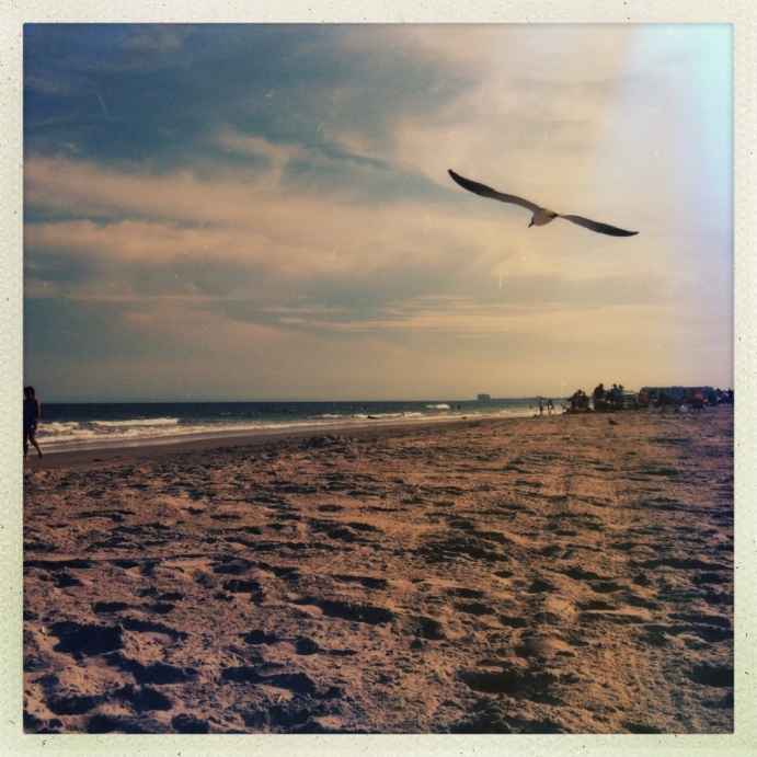 hipstamatic iphone shore beach kaplan seagull